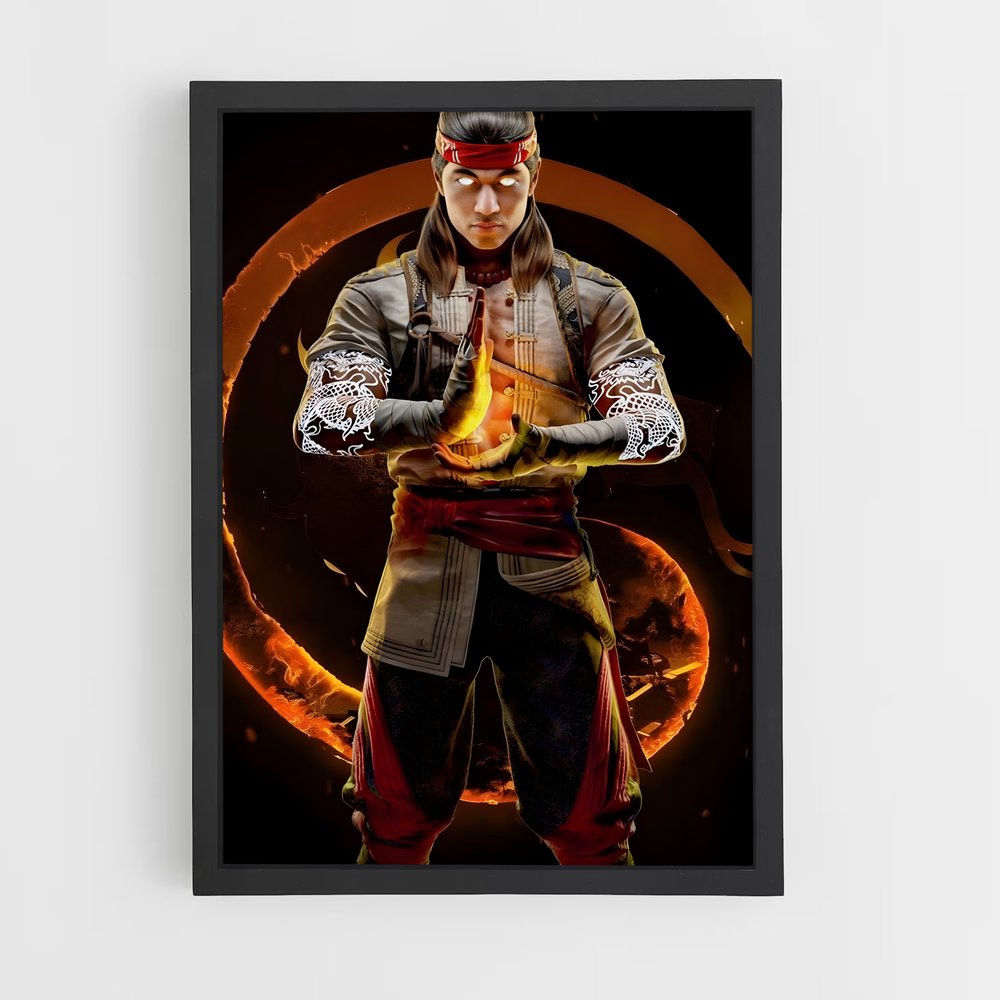 Poster Liu Kang: Dragon's Fury – affiche Mortal kombat (vue 2)